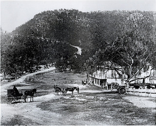 Rosedale, Little Hartley 1887 | by Blue Mountains Local Studies